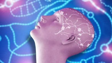 इंसानी दिमाग का आरेख, जो इसकी शक्ति और जटिल संरचना को दर्शाता है।