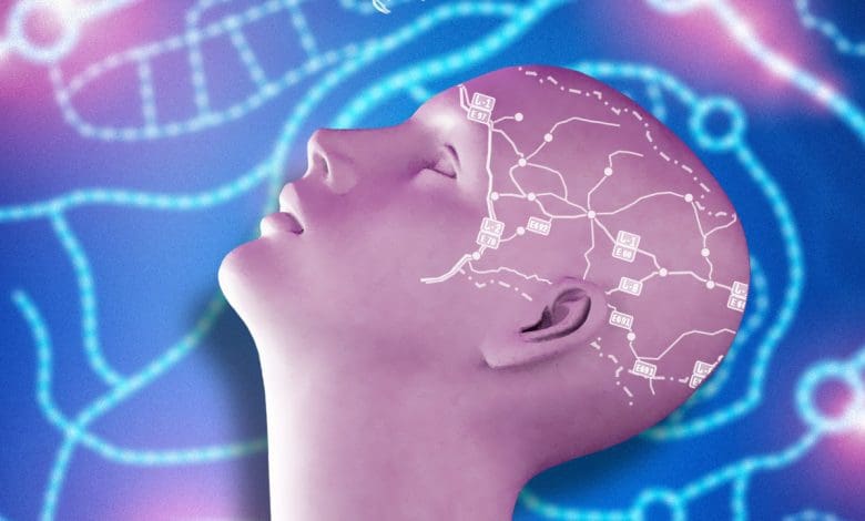 इंसानी दिमाग का आरेख, जो इसकी शक्ति और जटिल संरचना को दर्शाता है।