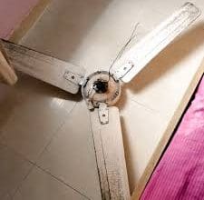 सहस्रा जूनियर कॉलेज में इंटर परीक्षा के दौरान सीलिंग फैन गिरने से छात्रा घायल। एबीवीपी ने कॉलेज प्रबंधन के खिलाफ प्रदर्शन किया।