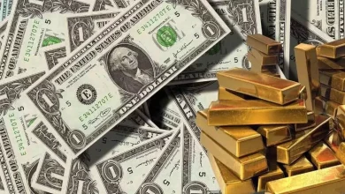 आरबीआई की रिपोर्ट में विदेशी मुद्रा भंडार में जबरदस्त उछाल दिखाया गया।