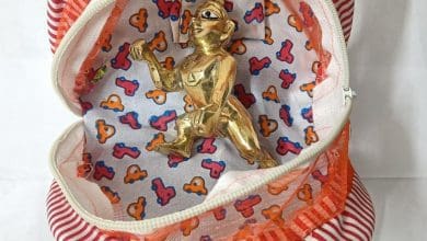 लड्डू गोपाल की पूजा विधि और सेवा के नियम