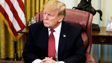 AI द्वारा जेनरेटेड Donald Trump का वीडियो वायरल हो गया है, जिसमें उनके बचपन से लेकर राष्ट्रपति बनने तक का सफर दिखाया गया है।