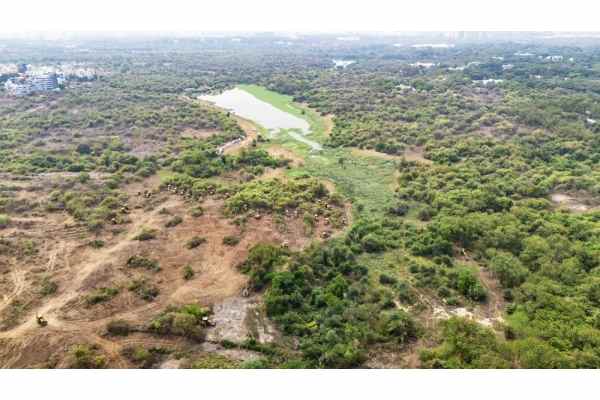 केटीआर ने कांग्रेस सरकार पर बीआरएस नेताओं को एचसीयू जाने से रोकने का आरोप लगाया।