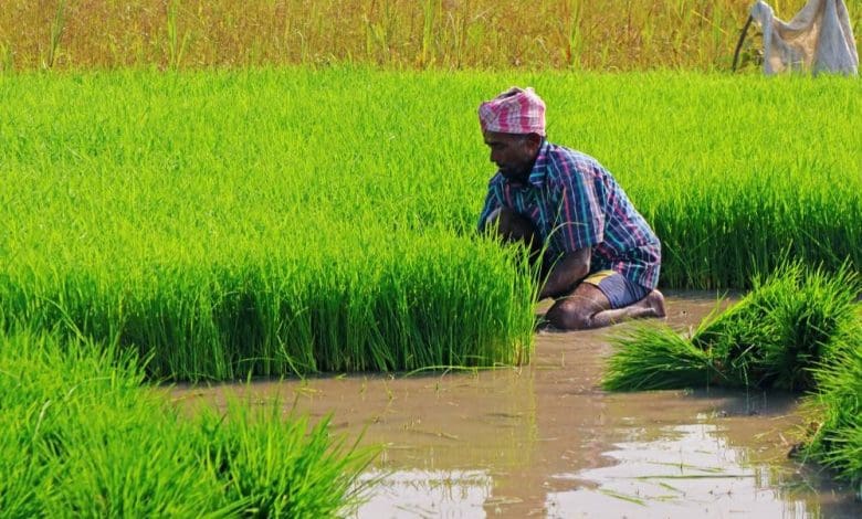 जलवायु परिवर्तन पर आधारित नई कृषि नीति और समाधान