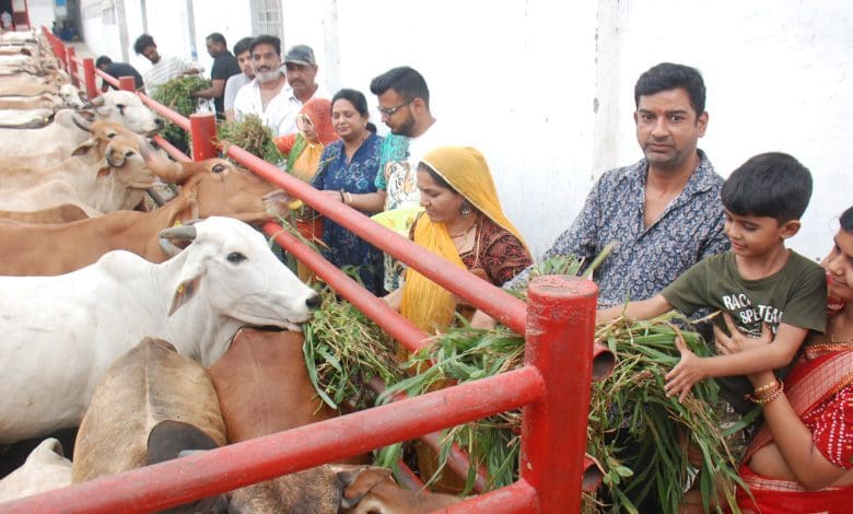 गौ सेवा का लाभ वैशाख अमावस्या पर भक्तों ने लिया