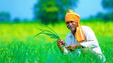 भारत में कृषि क्षेत्र का योगदान, सुधार और तकनीकी विकास