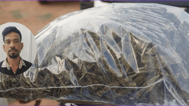 गांजा बेचने के आरोप में गिरफ्तार आरोपी को पुलिस हिरासत में ले जाती हुई साइबराबाद की अत्तापुर पुलिस