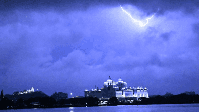 हैदराबाद में तूफानी बारिश के बाद गिरे पेड़ और ट्रैफिक जाम का दृश्य