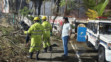 हैदराबाद में तूफानी बारिश के बाद गिरे पेड़ और ट्रैफिक जाम का दृश्य