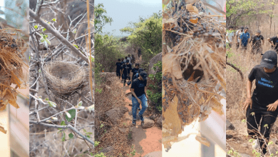 हैदराबाद वन ट्रैकिंग शिविर में पक्षी अवलोकन करते प्रतिभागी