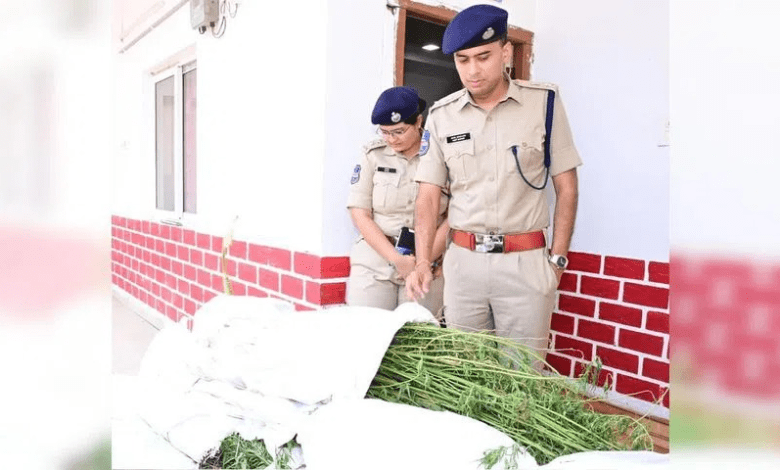 आदिलाबाद में गांजे की खेती करते चार किसान गिरफ्तार