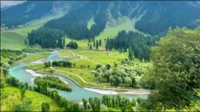 आतंकी हमले पर अमेरिका ने भारत के समर्थन की पुष्टि