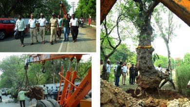 हैदराबाद में यातायात सुरक्षा के लिए पेड़ स्थानांतरित