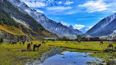 पहलगाम में 26 पर्यटकों की हत्या – आतंकवाद का हमला