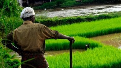 ब्याज सहायता योजना 2025-26 की सरकार द्वारा मंजूरी