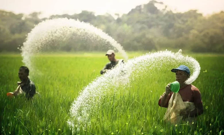 तेलंगाना के किसान खरीफ की बुआई के लिए यूरिया संकट