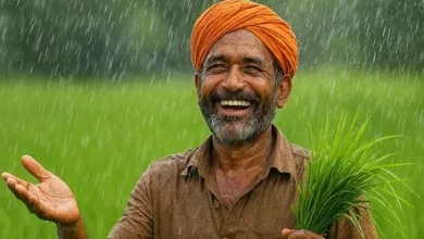 2025-26 में खरीफ फसलों के एमएसपी में बढ़ोतरी की जानकारी