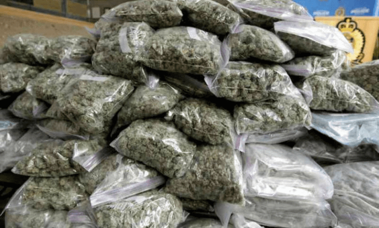 लंगर हाउस फ्लाईओवर के पास 1.1 किलो गांजे के साथ तस्कर गिरफ्तार