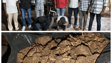 हैदराबाद में 4 मामलों में 4.64 किलो गांजा जब्त, 7 गांजा तस्कर गिरफ्तार