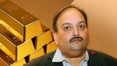 हीरा कारोबारी मेहुल चोकसी पर सेबी की बड़ी कार्रवाई