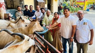 ज्येष्ठ अमावस्या पर गौ सेवा का लाभ लेते भक्तों की तस्वीर