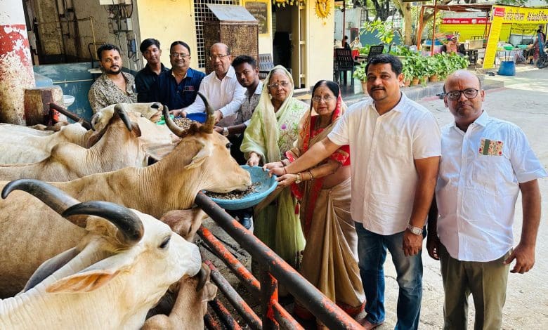 ज्येष्ठ अमावस्या पर गौ सेवा का लाभ लेते भक्तों की तस्वीर