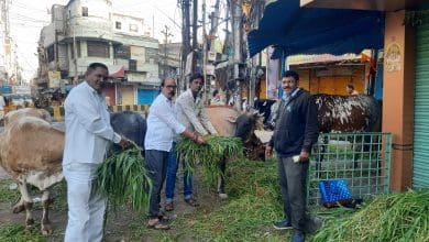 हैदराबाद की गौशालाओं में आषाढ़ अमावस्या पर गौ सेवा