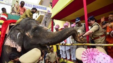 हैदराबाद बोनालू जुलूस में शामिल होती कर्नाटक मठ की हाथिनी लक्ष्मी