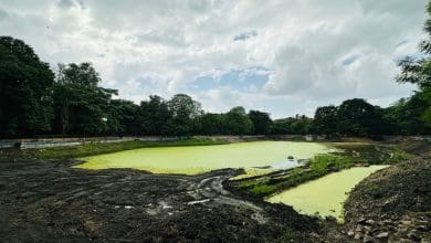 नामपल्ली स्थित पब्लिक गार्डन में स्थित छोटा सा पाउंड वर्तमान में गंदगी काई का हो रहा है शिकार जो सुबह चहलकदमी के लिए आने वाले लोगों की परेशानी का सबब बन हुआ है। (फोटो एम. ए. मुजीब)