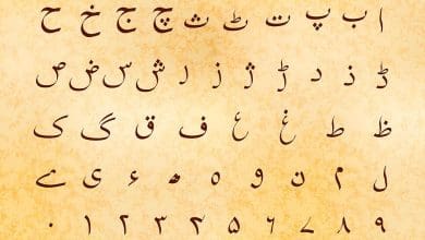 उर्दू की भारतीय विरासत और आधुनिक पहचान