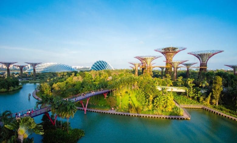 सिंगापुर के आधुनिक भवनों के बीच फैले हरित क्षेत्र और संरक्षित प्राकृतिक स्थल