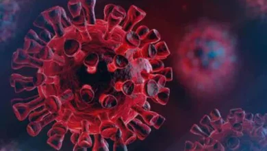 तेलंगाना में दो नए दर्ज कोविड संक्रमण के मामले सामने आए