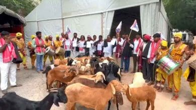 चरवाहा समुदाय के लोगों का गांधी भवन में जोरदार विरोध