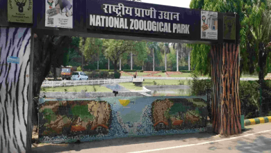 दिल्ली चिड़ियाघर में नाइट सफारी की योजना