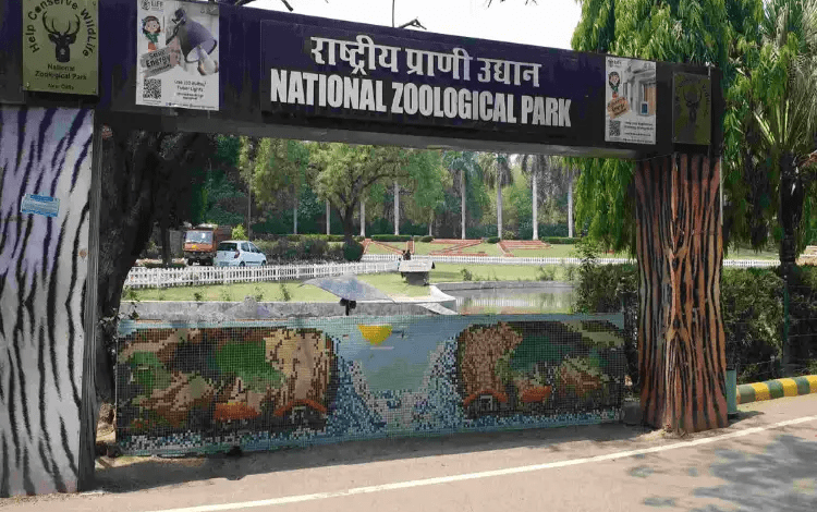 दिल्ली चिड़ियाघर में नाइट सफारी की योजना