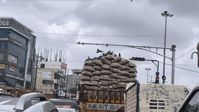 मियापुर रोड पर ट्रक से गिरे बारीक चावल पर कबूतरों की दावत