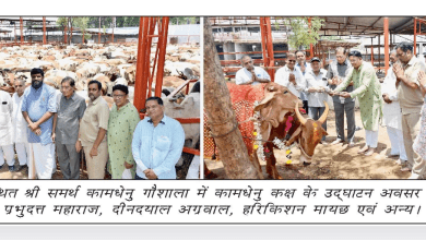 हैदराबाद में गोदावरी बनकाचर्ला परियोजना पर मीडिया को संबोधित करते आदि श्रीनिवास