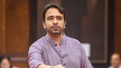 जयंत चौधरी का वीएफएक्स सेंटर का सुझाव