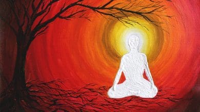 आंधी में झुके हुए पेड़, कठिन समय में धैर्य का प्रतीक