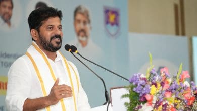 डेंगू और चिकनगुनिया जैसी बीमारियों पर सख्ती