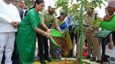 पौधा लगाकर वन महोत्सव-2025 का भव्य उद्घाटन