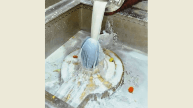 पंचामृत से शिवलिंग का अभिषेक करते श्रद्धालु