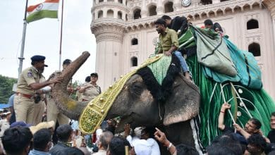 हैदराबाद की सड़कों पर निकले अशूरा जुलूस में बीबी का आलम, हाथी लक्ष्मी पर सवार