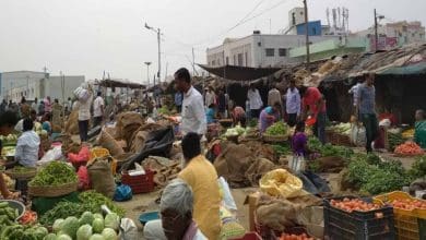 कोहेड़ा में बनने वाला विश्वस्तरीय ग्रीन मार्केट का डिज़ाइन और मास्टर प्लान