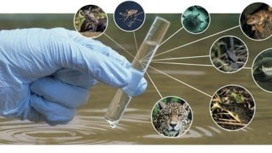 नैनोपोर सिक्वेंसिंग से हवा के नमूनों से जैव विविधता और इंसानी डीएनए की पहचान