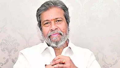 दामोदर राजा नरसिम्हा