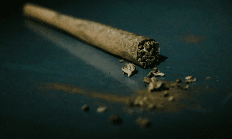 हैदराबाद में 910 किलो गांजा जब्त, तस्कर गिरफ्तार