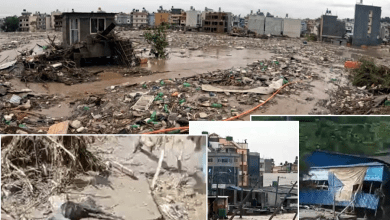 नेपाल में भोटेकोशी नदी पर आई बाढ़ से तबाह हुआ फ्रेंडशिप ब्रिज और राहत कार्य में जुटे जवान