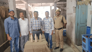 धूलपेट में आबकारी पुलिस द्वारा मिलावटी सेन्धी की जब्ती