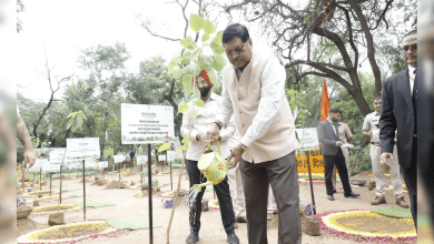 CJI गवई पौधा लगाते हुए Van Mahotsav 2025 में दिल्ली रिद्ज़ पर”